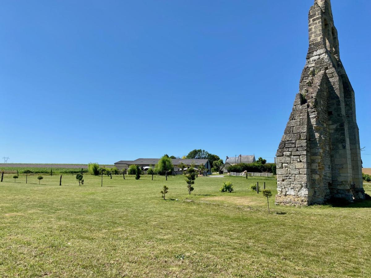 Domaine Des Varennes Louresse-Rochemenier Exterior photo