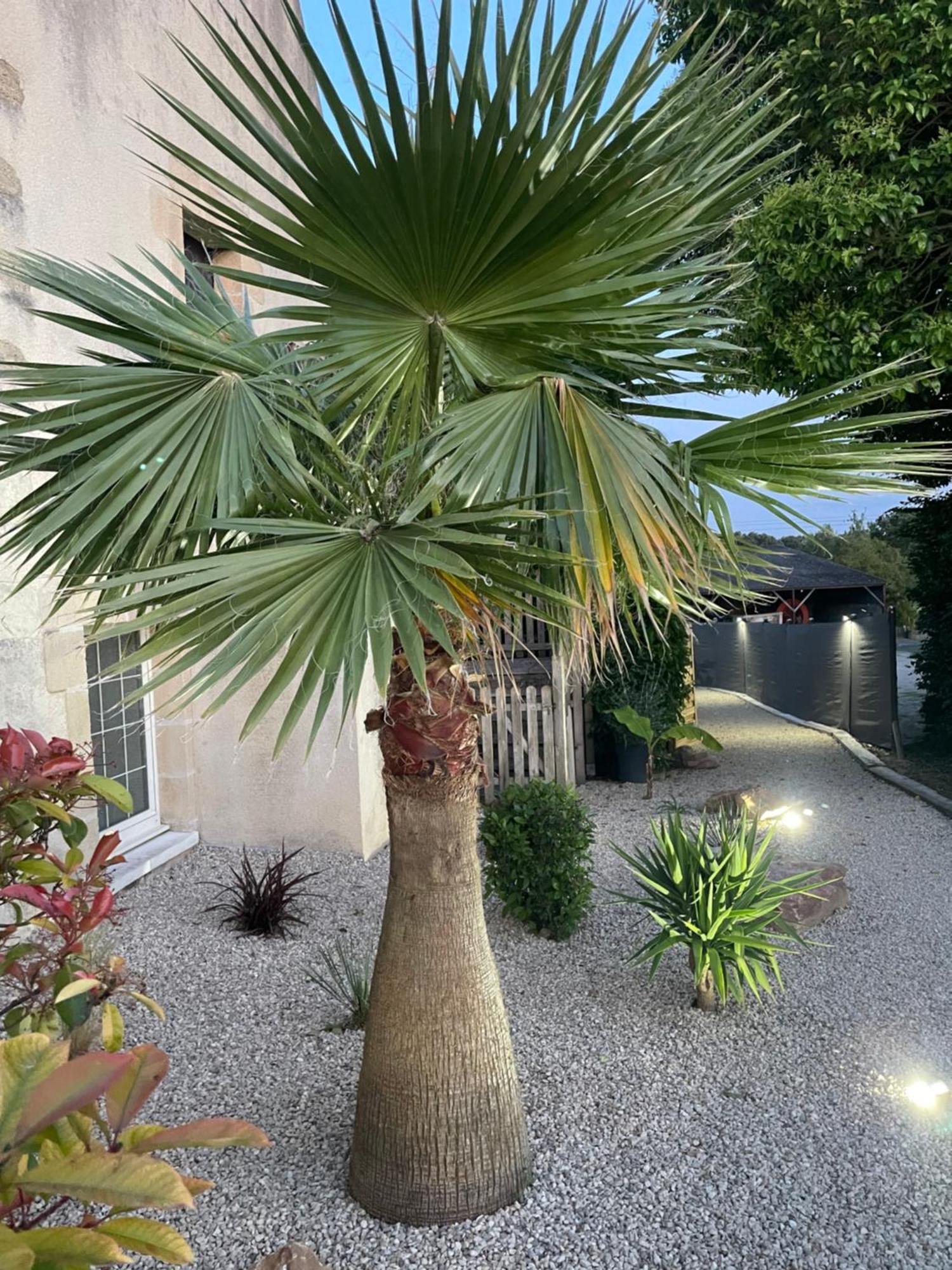 Domaine Des Varennes Louresse-Rochemenier Exterior photo
